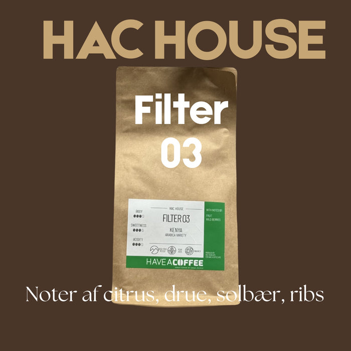 Filter 03 HAC House